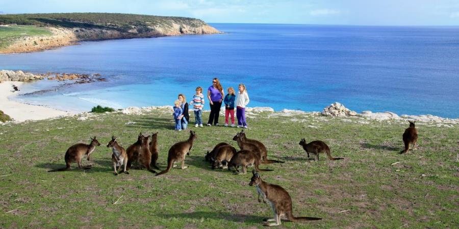The Wildlife Of Kangaroo Island