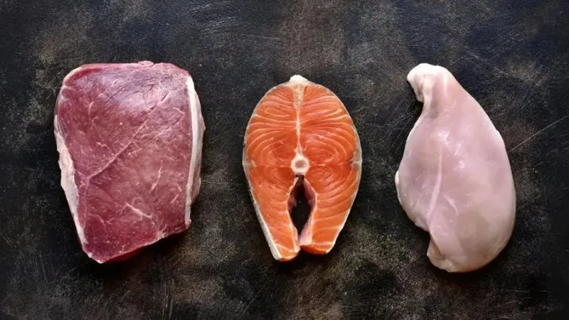 Carnivore Diet
