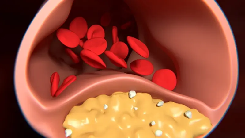 Understanding Importance Good Cholesterol